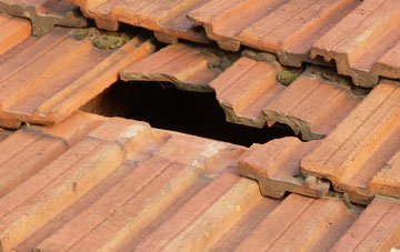 roof repair Pucknall, Hampshire